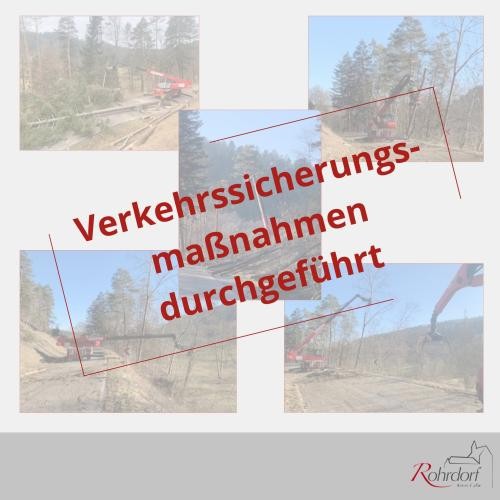 Collage Forstarbeiten Collage aus mehreren Fotos von Forst- und Sicherungsarbeiten entlang einer Straße: Ein Kranfahrzeug und Greifer entfernen Bäume am Straßenrand. Darüber der Schriftzug ‚Verkehrssicherungsmaßnahmen durchgeführt‘. Unten rechts ist das Logo der Gemeinde Rohrdorf zu sehen.