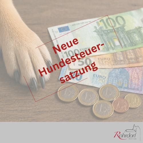 Hundesteuersatzung Bild mit Euro-Banknoten und Münzen auf einem Tisch, daneben eine Hundepfote. In roter Schrift steht: „Neue Hundesteuersatzung“. Hinweis auf eine Änderung oder Neuregelung der Hundesteuer.